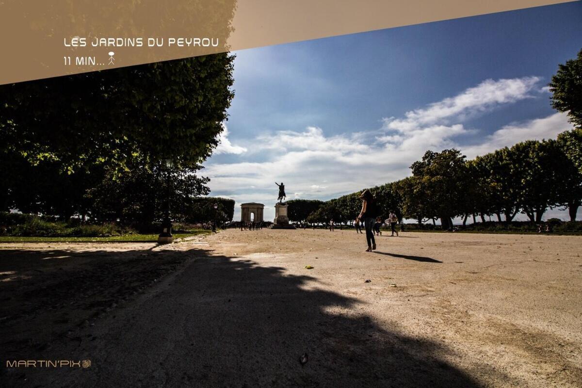 L'Amoureux - Terrasse Et Climatisation Coeur De Ville Montpellier Eksteriør bilde