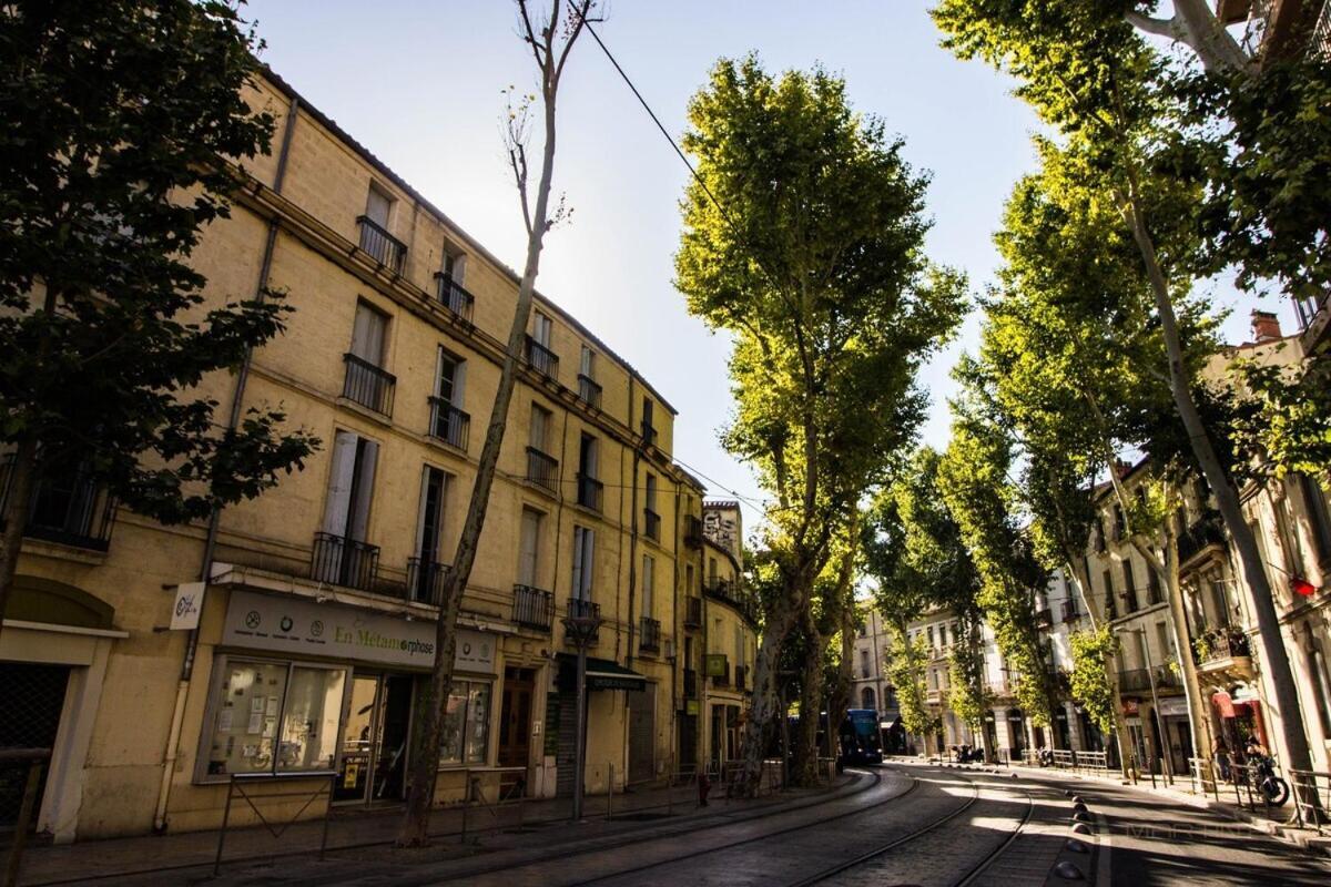 L'Amoureux - Terrasse Et Climatisation Coeur De Ville Montpellier Eksteriør bilde
